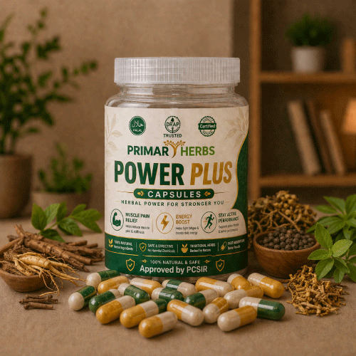 Power MAX Combo ( Majoon e Hayat + Power Plus )
